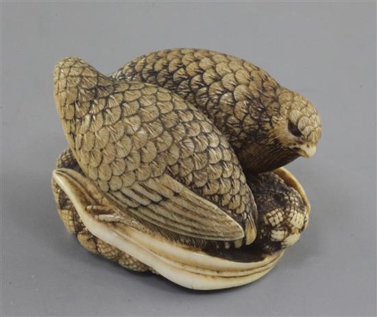 A Japanese ivory netsuke of two quails, 19th century, 3.8cm